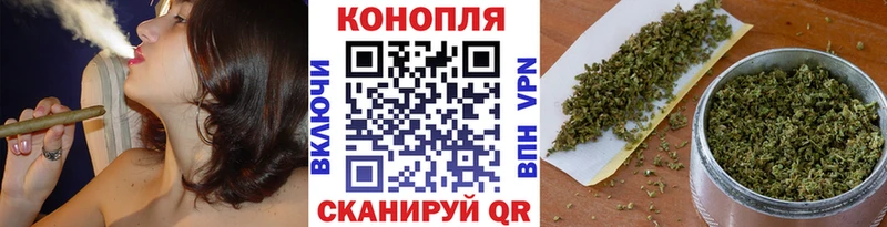 Бошки Шишки сатива  где купить наркотик  ОМГ ОМГ ТОР  Геленджик 
